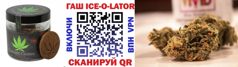 Купить закладки  Саранск  Cannafood марихуана 