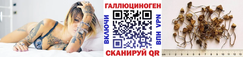 Псилоцибиновые грибы Cubensis  Купить закладки  Саранск 